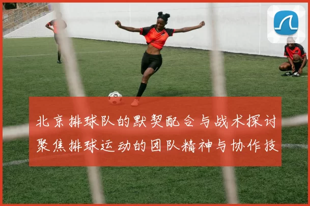 北京排球队的默契配合与战术探讨聚焦排球运动的团队精神与协作技巧