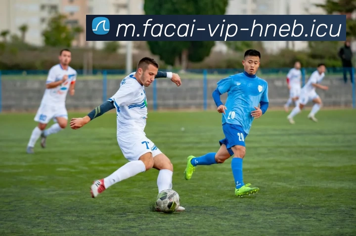 乐鱼体育服务体系